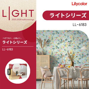 J ̂Ȃǎ NX p^[ paint LIGHT Cg 2025-2028 LL6183 h sR  C ǎ\ւ