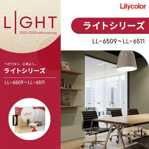 J ̂Ȃǎ NX J[oG[V LIGHT Cg 2025-2028 LL6509 LL6510 LL6511 h R sR sR  C ǎ\ւ