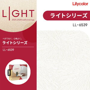 J ̂Ȃǎ NX V LIGHT Cg 2025-2028 LL6539 h sR  C ǎ\ւ