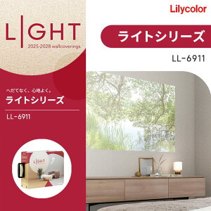 J ̂Ȃǎ NX vWFN^[pǎ LIGHT Cg 2025-2028 LL6911 \ʋ sR h sR  C ǎ\ւ