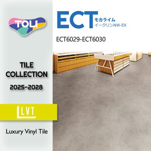 �y���������z�y�P�[�X���z���� �t���A�^�C�� �C�[�N����NW-EX ���J���C�� 450mmx450mm ECT6029 ECT6030 2025-2028 �^�C�� DIY ���� ���t�H�[ �� ECT5027 ECT5028