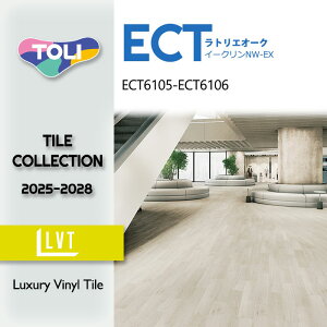 yzyP[Xz tA^C C[NNW-EX gGI[N 150mmx900mm ECT6105 ECT6106 2025-2028 ^C DIY  tH[