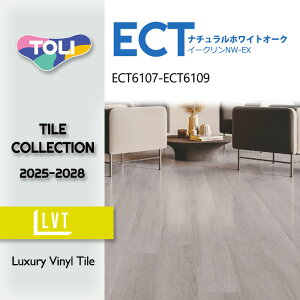 yzyP[Xz tA^C C[NNW-EX i`zCgI[N 150mmx900mm ECT6107 ECT6108 ECT6109 2025-2028 ^C ECT5112 ECT5113 ECT5114