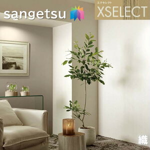 TQc ǎ ̂Ȃǎ GNZNg D SGB2138`SGB2140 SHITSURAHI TbgN[ XSELECT 2021-2024 NX R[fBl[g fUC