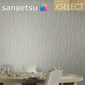 TQc ǎ ̂Ȃǎ GNZNg ARMANI/CASA SGB2318`SGB2319 XSELECT 2021-2024 NX fUC ǎ R[fBl[g