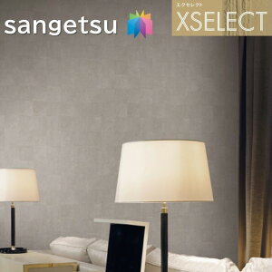 TQc ǎ ̂Ȃǎ GNZNg ARMANI/CASA SGB2320`SGB2321 XSELECT 2021-2024 NX fUC ǎ R[fBl[g