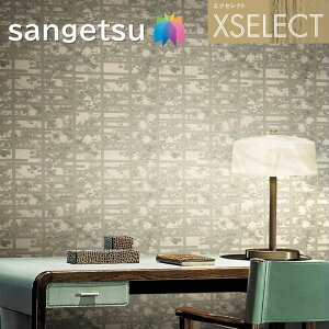 TQc ǎ ̂Ȃǎ GNZNg ARMANI/CASA SGB2326 XSELECT 2021-2024 NX fUC ǎ R[fBl[g