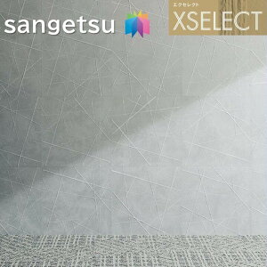 TQc ǎ ̂Ȃǎ GNZNg 炵 SGB2002 XSELECT 2021-2024 NX fUC ǎ R[fBl[g P sgb2002