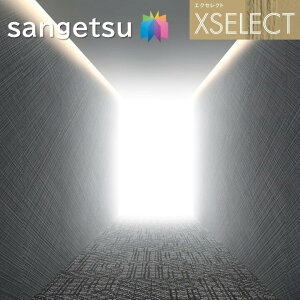 TQc ǎ ̂Ȃǎ GNZNg 炵 SGB2005 XSELECT 2021-2024 NX fUC ǎ R[fBl[g { sgb2005