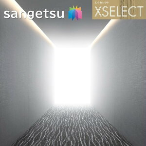 TQc ǎ ̂Ȃǎ GNZNg  SGB2014`SGB2015 XSELECT 2021-2024 NX fUC ǎ R[fBl[g sgb2014