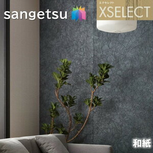 TQc ǎ ̂Ȃǎ GNZNg a SGB2038 El̎d XSELECT 2021-2024 NX fUC ǎ R[fBl[g { sgb2038