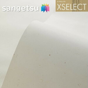 TQc ǎ ̂Ȃǎ GNZNg a SGB2066 @Ba XSELECT 2021-2024 NX fUC ǎ R[fBl[g sgb2066