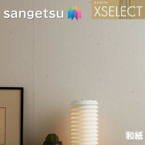 TQc ǎ ̂Ȃǎ GNZNg a SGB2075`SGB2080 @Ba XSELECT 2021-2024 NX fUC ǎ R[fBl[g sgb2075