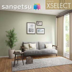 TQc ǎ ̂Ȃǎ GNZNg EDA SGA2407`SGA2412 XSELECT 2021-2024 NX fUC ǎ R[fBl[g sga2407