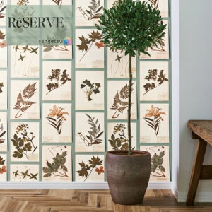 TQc ̂Ȃǎ Yǎ Ȋw A sR h 92cm TQc U[u SANGETSU RESERVE NX fUC    RESERVE 2024-2027 RE55943