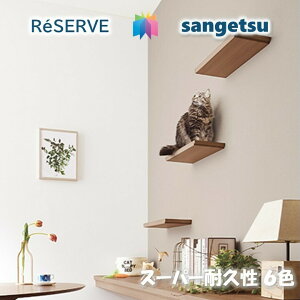 TQc ̂Ȃǎ sR hJr R \ʋ X[p[ϋv tBh~ TQcU[u1000 RESERVE NX fUC    re53731