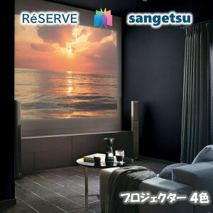 TQc ̂Ȃǎ sR hJr R \ʋ vWFN^[pǎ TQcU[u1000 RESERVE NX fUC    re53853