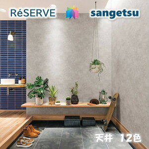 TQc ̂Ȃǎ tH[i OZ[ sR hJr R ʋC z V CEILING TQcU[u1000 RESERVENX fUC    re53443