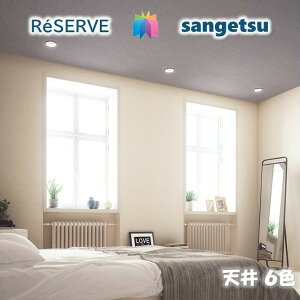 TQc ̂Ȃǎ tH[i OZ[sR hJr R ʋC V CEILING TQcU[u1000 RESERVENX fUC    re53447