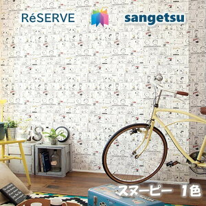 TQc ̂Ȃǎ sR hJr \ʋ Xk[s[ SNOOPY TQcU[u1000 RESERVE NX fUC    re53638