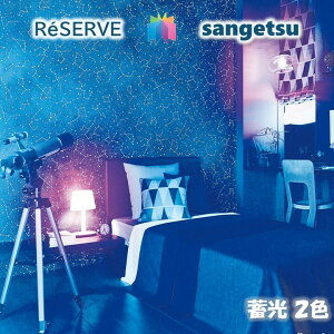 TQc ̂Ȃǎ OZ[ sR hJr ~ LUMINOUS LEDΉ ̃C~l[Vǎ TQcU[u1000 RESERVE NX fUC    re53639