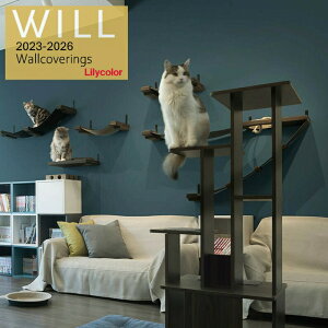 J ̂ȂYǎ NX sR sR h R X[p[ h~ Lilycolor EB2023-2026 Vz tH[ ǎ\ւ ItBX X Lb` gC  LW-442 LW-443 LW-4