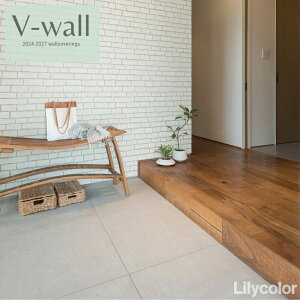 J ̂ȂYǎ NX sR sR h Lilycolor V-EH[2024-2027  C ǎ\ւ q Lb` gC  K LV-2292-LV-2294