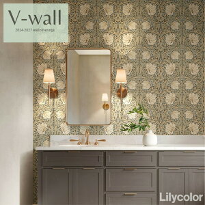 J ̂ȂYǎ NX sR sR h Lilycolor V-EH[2024-2027  C ǎ\ւ q Lb` gC    LV-2013