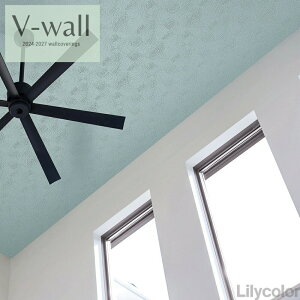 J ̂ȂYǎ NX sR sR h Lilycolor V-EH[2024-2027  C ǎ\ւ q Lb` gC  Vv V LV-2245-246