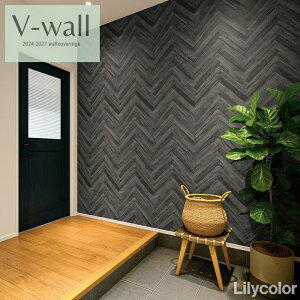 J ̂ȂYǎ NX sR sR h Lilycolor V-EH[2024-2027  C ǎ\ւ q Lb` gC  Vv LV-2280 LV-2281