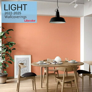 J ̂ȂYǎ NX sR h Lilycolor Cg2022-2025  C ǎ\ւ q Lb` gC  LL-7526-LL7530