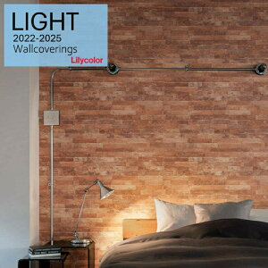 J ̂ȂYǎ NX sR sR h Lilycolor Cg2022-2025  C ǎ\ւ q Lb` gC  LL-7267-LL7269