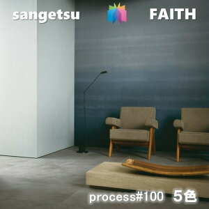 TQc ̂Ȃǎ PROCESS#100 sR hJr R SILKY VOICE VL[ {CX TQctFCX SANGETSU FAITH NX fUC    TH-32057-TH-32061