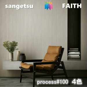 TQc ̂Ȃǎ PROCESS#100 sR hJr R \ʋ [GA[ L TQctFCX SANGETSU FAITH NX fUC    TH-32084-TH-32087