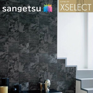 TQc ǎ ̂Ȃǎ GNZNg ELITIS SGB2377 XSELECT 2021-2024 NX fUC ǎ R[fBl[g