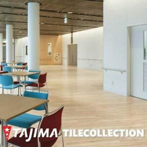 yzyP[Xz^W} EbhC XC[gI[N 100mm×914.4mm×3.0mm NA WOODLINE tA^C RNV P^C TAJIMA COLLECTION Ptiles@WBA336 WBA337
