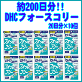 【送料無料】 DHCフォースコリー80粒入×10個※軽減税率対象