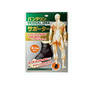 aiKOWA) oeT|[^[ ѐp 傫