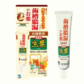 小林製薬生葉口内塗薬 20g 【第3類医薬品】