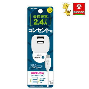 gbvh STPP100|WT@USBtX}[g^bv