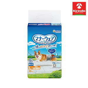 jE`[ybgPA }i[EFA j̎qp STCY ^p 46