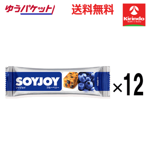 �䂤�p�P�b�g�ő������� 12�Z�b�g ��ː��� �\�C�W���C �u���[�x���[ 30g×12�� �y���ŗ��Ώۏ��i