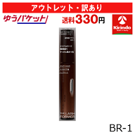 【アウトレット・訳あり】【30％OFF】ゆうパケットで送料330円 カネボウ化粧品 ケイト(KATE) ラッシュフ…