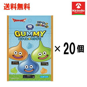  20Zbg ʌ XNEFAGjbNX hSNGXg XC4DO~ 38g×20y yŗΏۏizhNG XCO~ XCꂽ