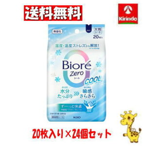 yP[X̔ z24Zbg ԉ rIZeroV[g@N[@@20