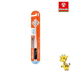 ԉ sI[36500nuV 1{1{ 炩߁F͂Iт܂