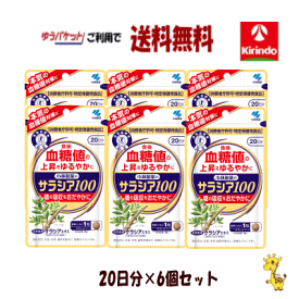 70周年創業祭II ゆうパケットで送料無料 6個セット 小林製薬の栄養補助食品(サプリメント) サラシア100 20日分(60粒)× 6個セット 血糖値 特定保健用食品 特保