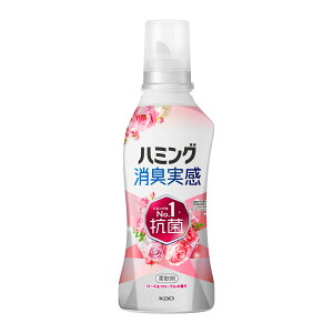 ԉ n~OL [Yt[̍ { 510mL×1 _d