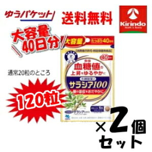 70Nnƍ 䂤pPbgő 2Zbg e40 ѐ̉h{⏕Hi(Tvg) TVA100 40(120)× 2Zbg l
