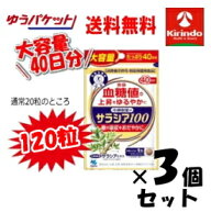 5月のさわやかセール ゆうパケットで送料無料 3個セット 大容量40日分 小林製薬の栄養補助食品(サプリメ…